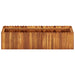 vidaXL Raised Garden Bed Raised Flower Bed Raised Garden Box Solid Acacia Wood-4