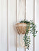 Plant Hanger - Fiora-1